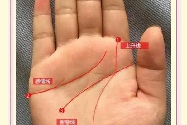 看手相算命：第五课 论健康