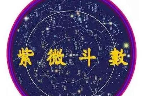 紫薇斗数星星得