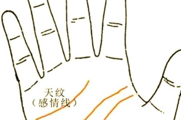 手纹算命图解 财富手纹解读