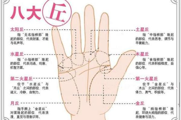 手纹算命图解 财富手纹解读