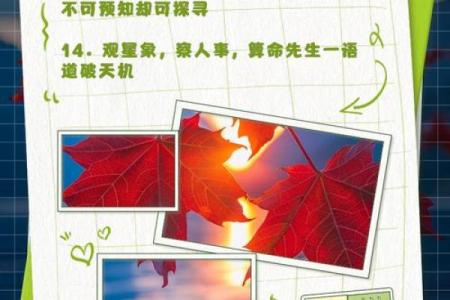 算命的宣传语