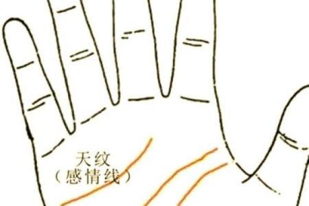 手纹算命图解 财富手纹解读
