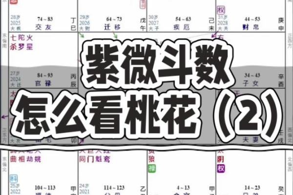 紫薇斗数怎么看桃花是不是正缘