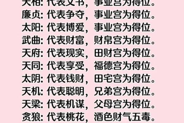紫薇斗数入门术语