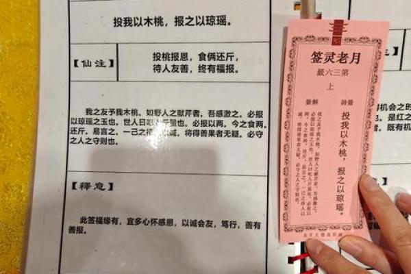 月老灵签签文详解第四十五签：后生可畏