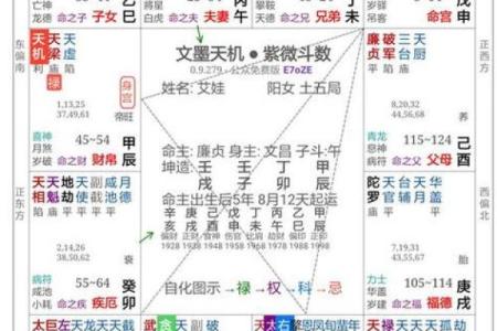 紫微斗数之活用斗数预测生活百事-预测方法简介