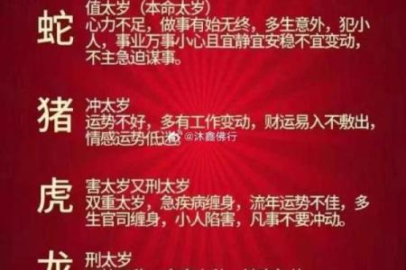 泰国古法算命