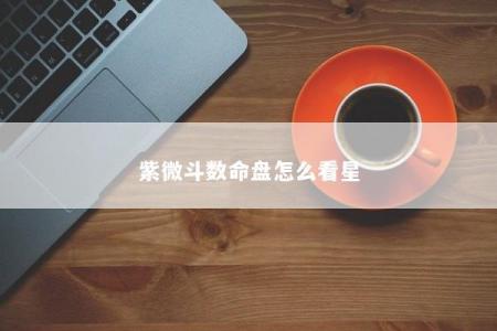 紫微斗数命盘怎么看星