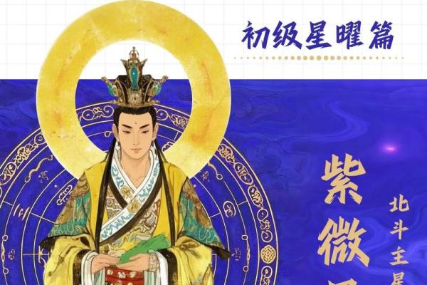 紫薇斗数之太阳