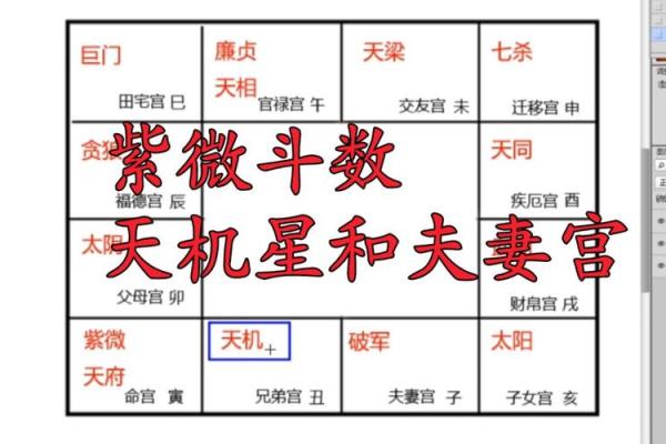紫薇斗数中天机星化禄，在命格中的造化如何？天机星四化力量