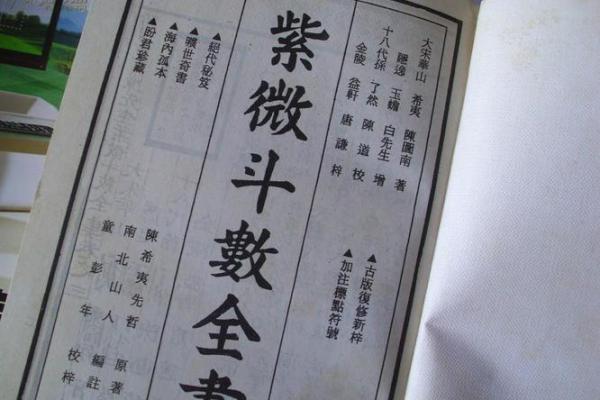 紫薇斗数申子辰