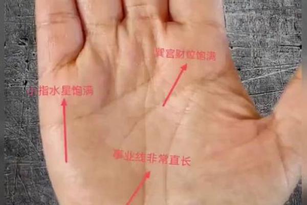 图解：手相中的事业线算命意义是