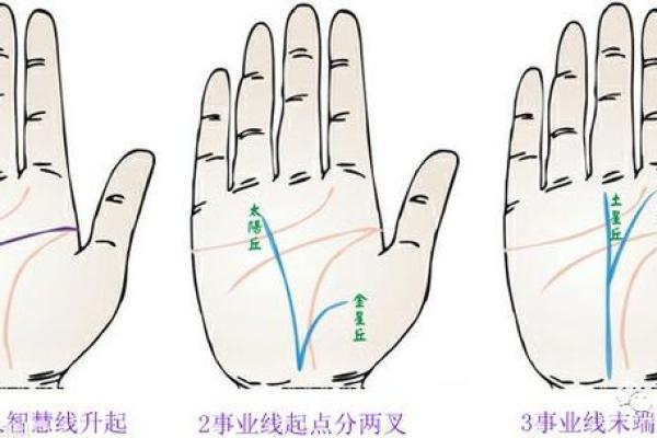 图解：手相中的事业线算命意义是