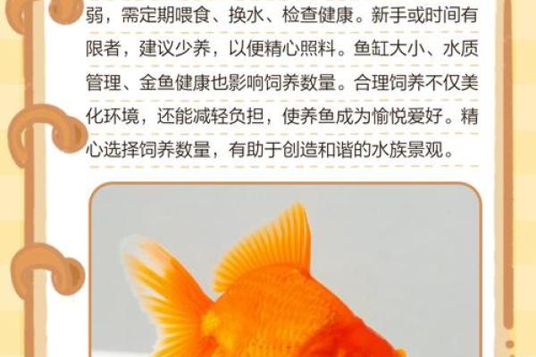 养金鱼有哪些风水讲究-