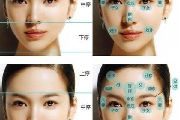 面相图解-八字眉面相算命及特征