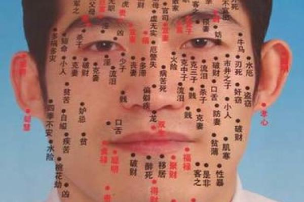 脸上胎记算命图解