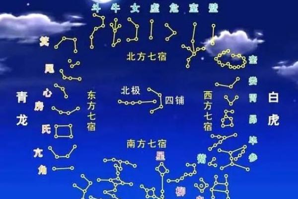 紫薇斗数怎么看命宫6