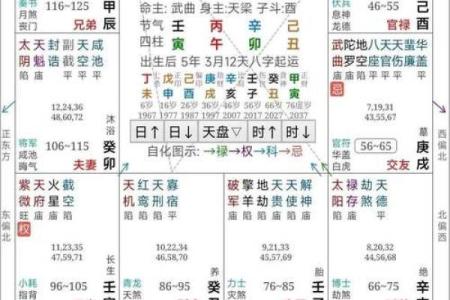男生紫微斗数看那些 紫微斗数男命？