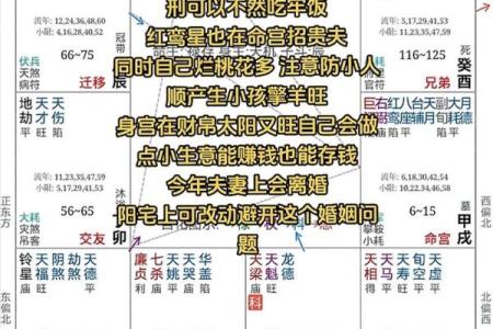 紫薇斗数工作