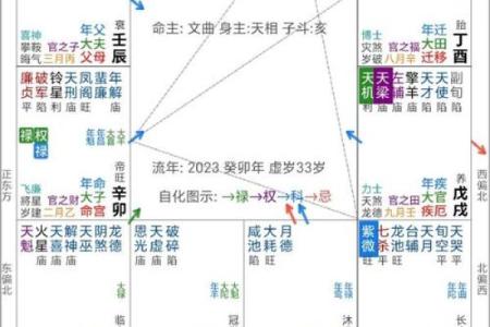 怎样研究紫薇斗数