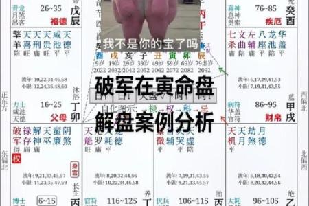 紫微排盘,科星逢破格命格详解