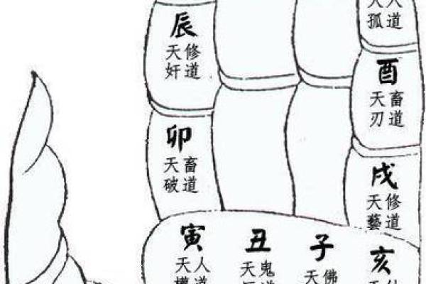 算命的手势,各种手势图片大全