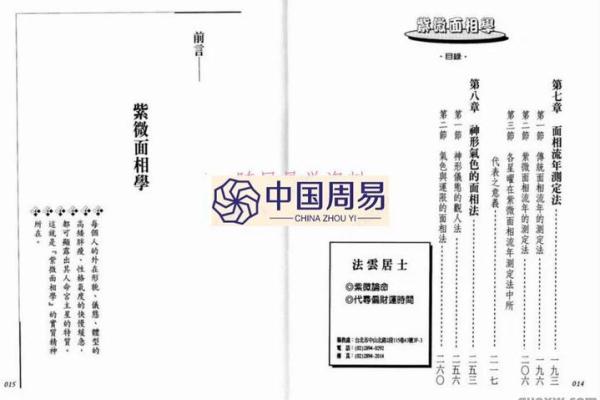 紫薇斗数在线阅读pdf