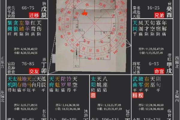 灵机紫薇斗数苹果版