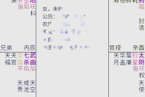 紫薇斗数生年化权入妻宫