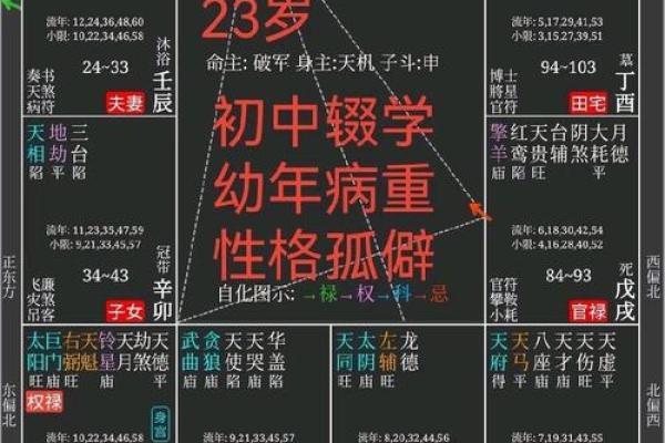 在线紫薇斗数排盘分析