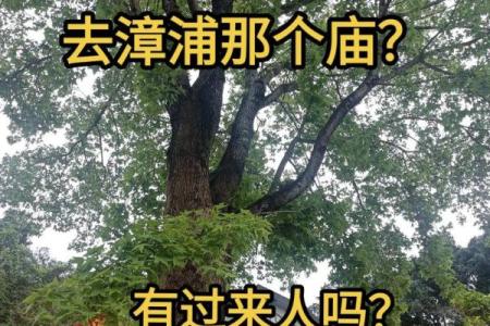 观音第三十八签姻缘