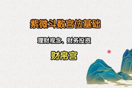 紫薇斗数看理财