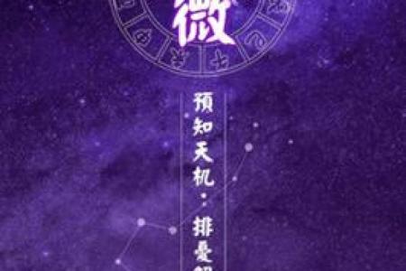 紫薇科技斗数