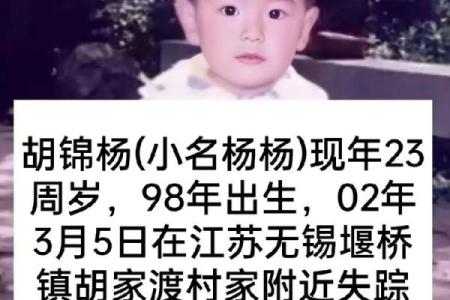 男婴眉心长“月牙”胎记，母亲带他算命后神秘失踪，至今下落不明