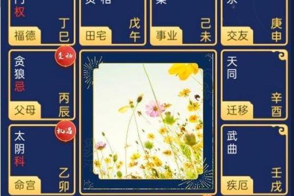 电脑紫薇斗数软件