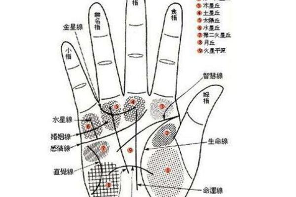 朱砂痣算命图解