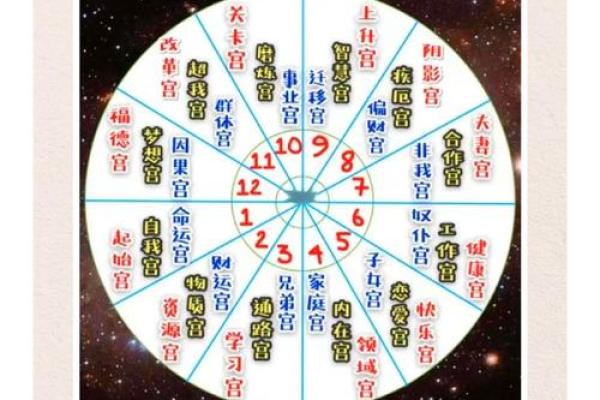 紫薇斗数什么看长相