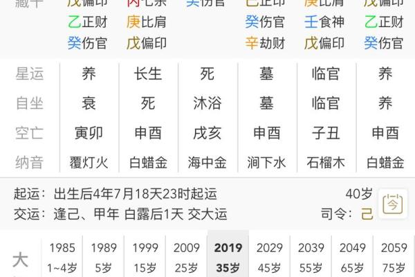 排八字排盘