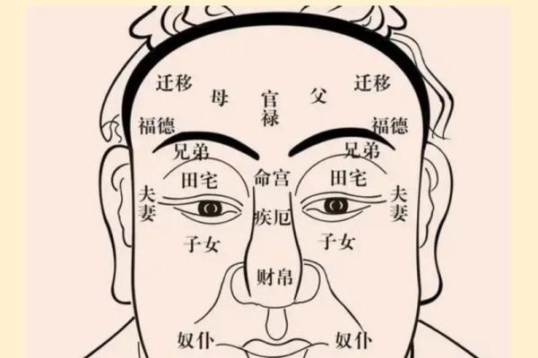 排八字排盘