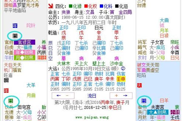 紫薇斗数好准