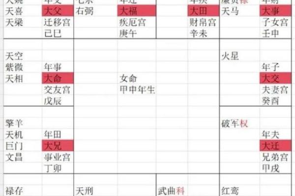 紫薇斗数大运命宫