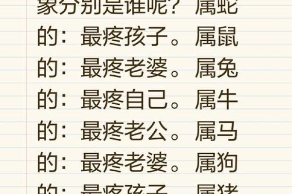 老鼠会算命