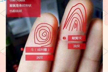 量指算命多神奇？手指长度看命运