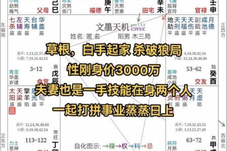 紫薇斗数成就