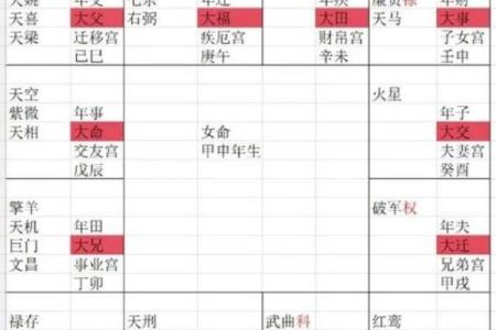 紫薇斗数大运命宫