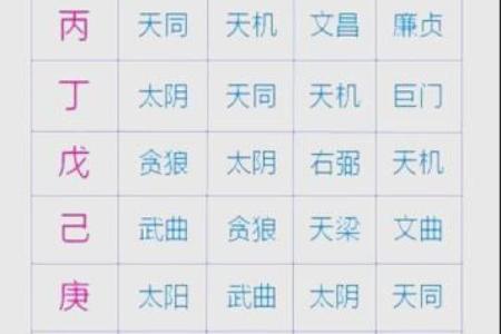 紫微斗数之基本术语