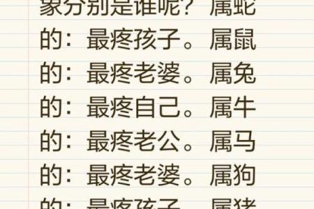 老鼠会算命