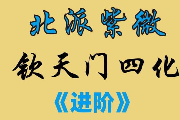 紫薇斗数视频合集