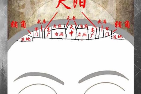 面相算命入门：五行与相貌