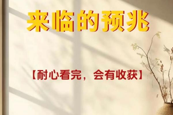 否极泰来紫薇斗数